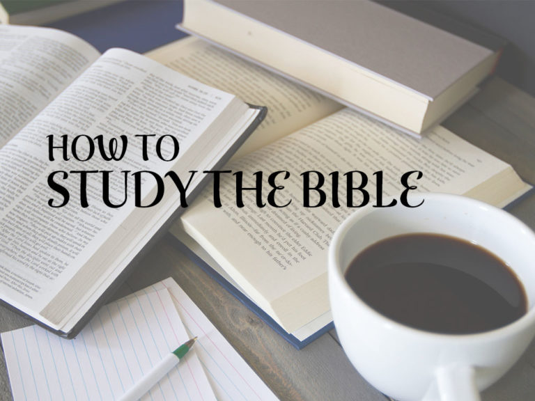 How to Study the Bible | Journey Together