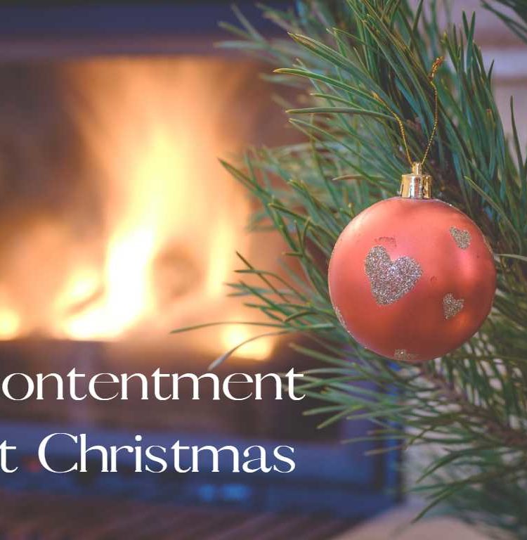 Contentment at Christmas, Christmas tree with ornament in front of fire